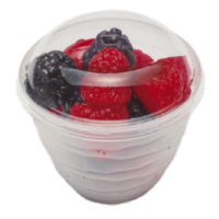 リスパック デザート容器 バイオフィネオ 本体 FWS76-150 H09T016 ナチュラル