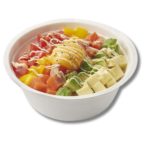 HEIKO 丼容器 業務用 バガスペーパーウェア どんぶり 600ml ND15F 50枚