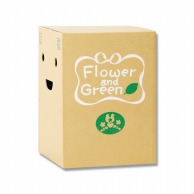 リード商事 花宅配用段ボール EB－1